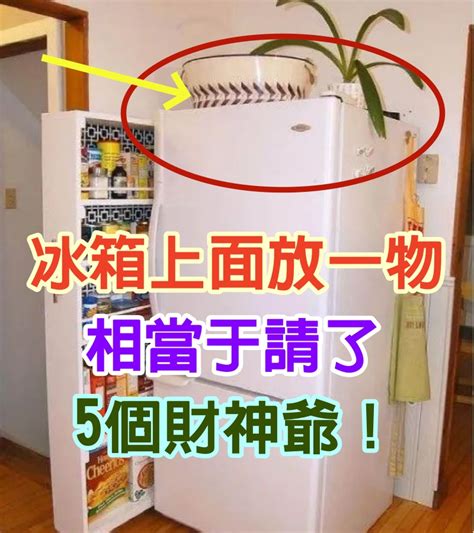 冰箱上面可以放什麼東西|招財不漏財！冰箱藏財庫「這樣擺放」最到位